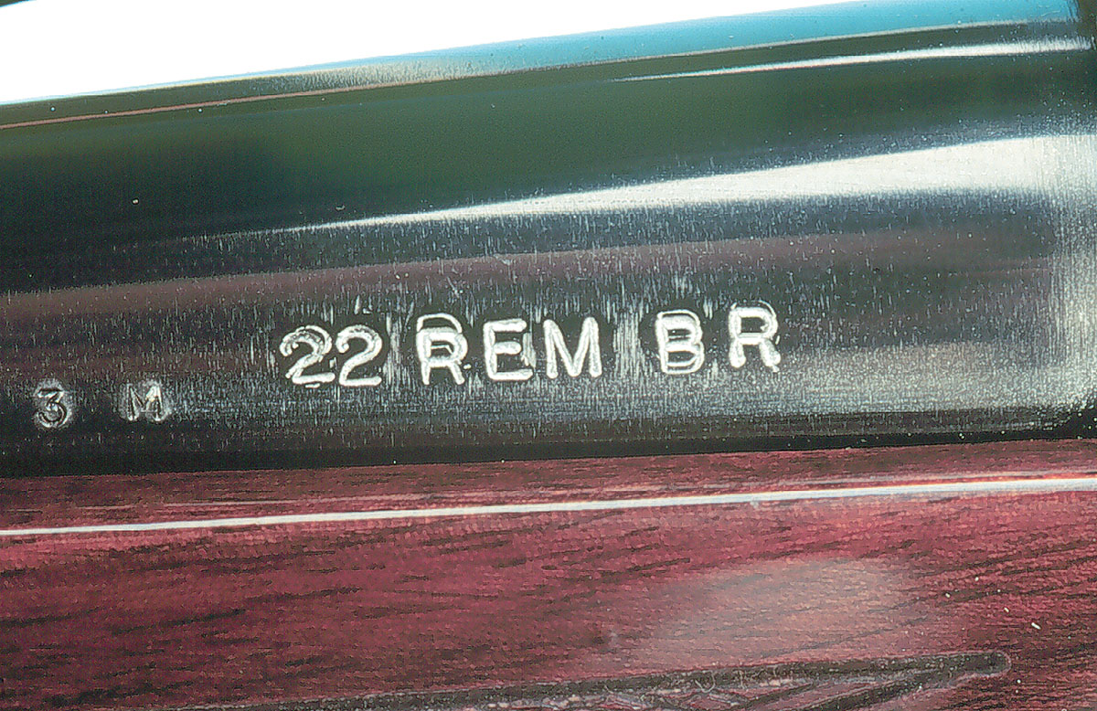 The barrel by E.R. Shaw dropped into the Remington stock.