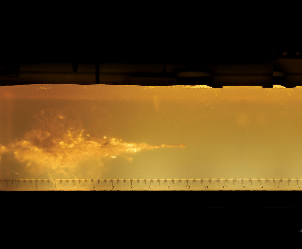 Tests in ballistic gelatin showed the 36-grain Varmint Grenade expended most of its energy in just 6 inches of penetration.