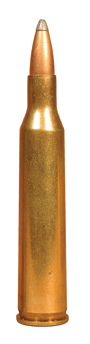 The 220 Swift is hard to beat for long-range coyote and red fox hunting.