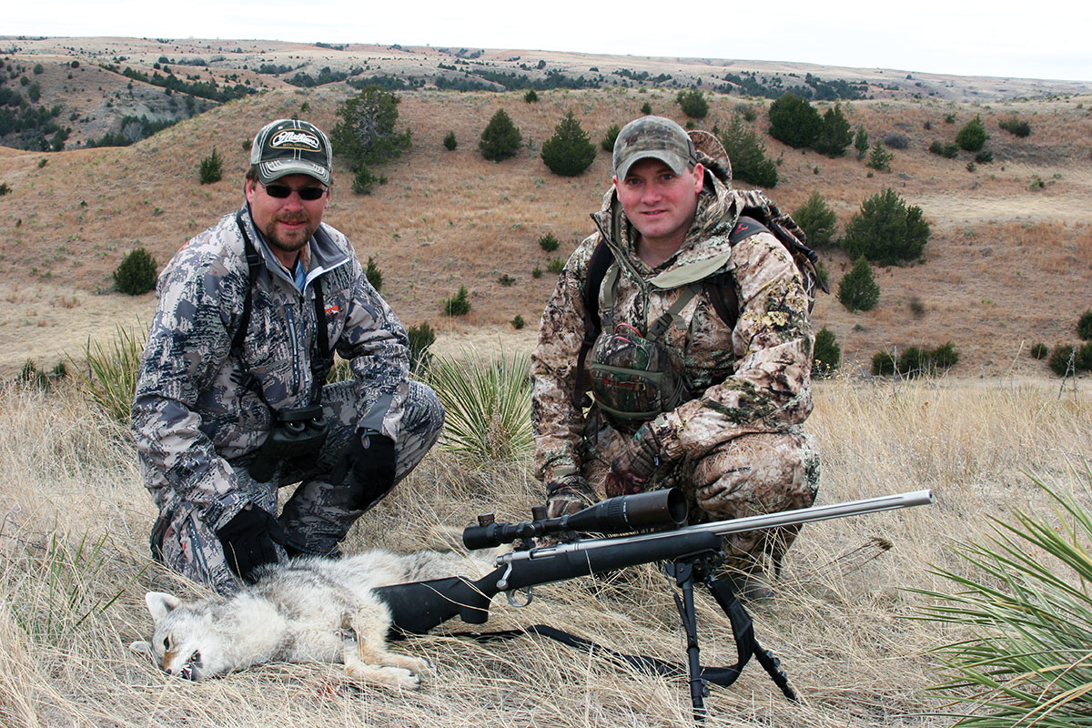 Predator hunters evaluate the 220 Swift and polymer-tipped bulletson a coyote shot at 335 yards.