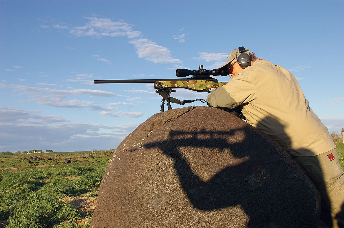 The 22-250 Remington stands in no cartridge’s shadow when it comes to producing a flat trajectory.