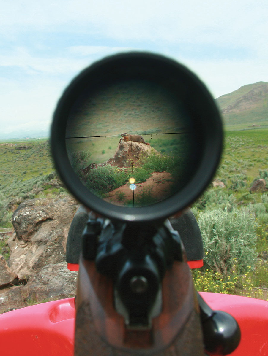 Rockchucks are hefty, seemingly easy targets. In southern Idaho, ranges stretch to extremes, and high desert wind is always a factor, requiring a rifle capable of launching high-BC bullets.