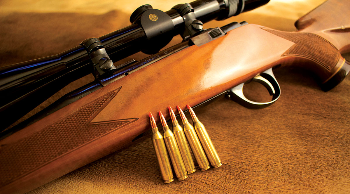 The H&R 17-223 rifle topped with a Leupold VX-III 6.5-20x 40mm scope makes a solid varmint/predator rifle.