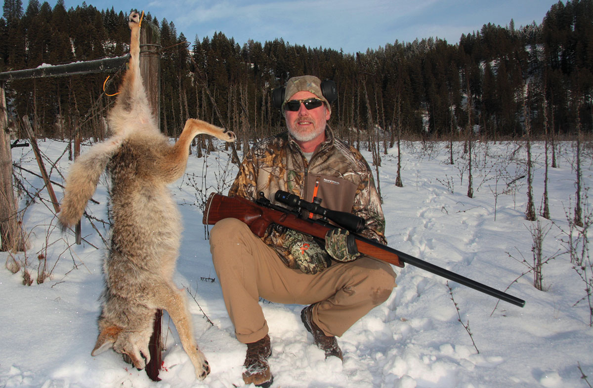 During the course of load development, Patrick had the opportunity to shoot this coyote with a Barnes 69-grain Match Burner bullet at 236 yards. The bullet expanded aggressively – good news for small-varmint shooters.