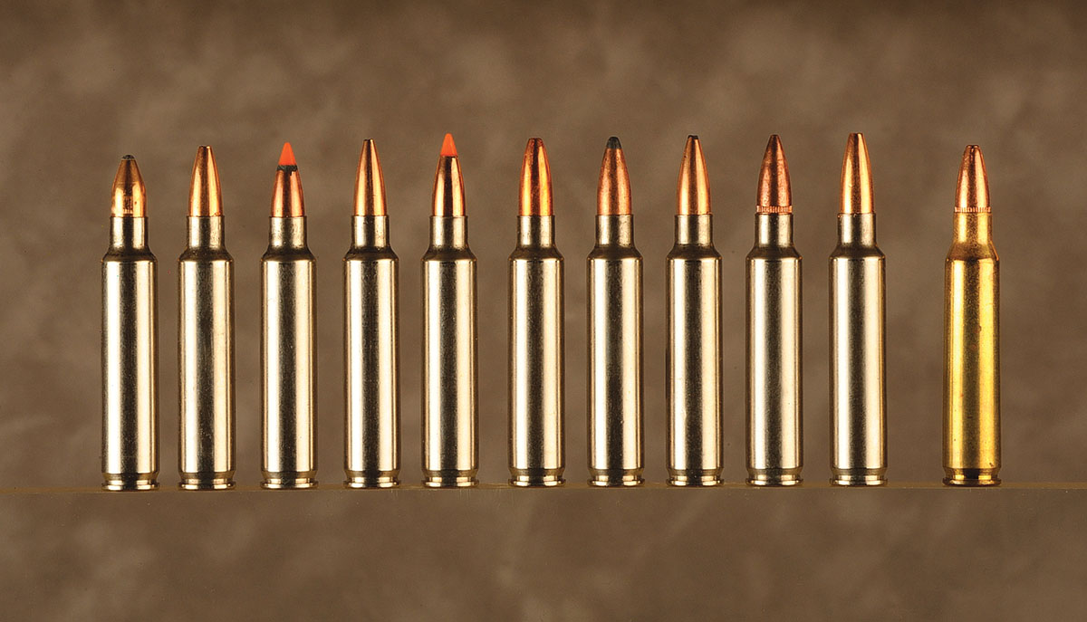 Ten component bullets and one factory load were used in the test.