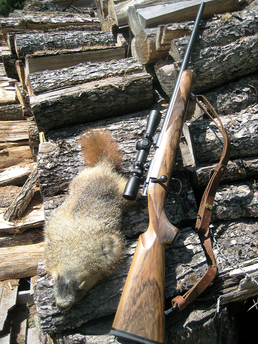 Only one CCI Stinger was required for this marmot.