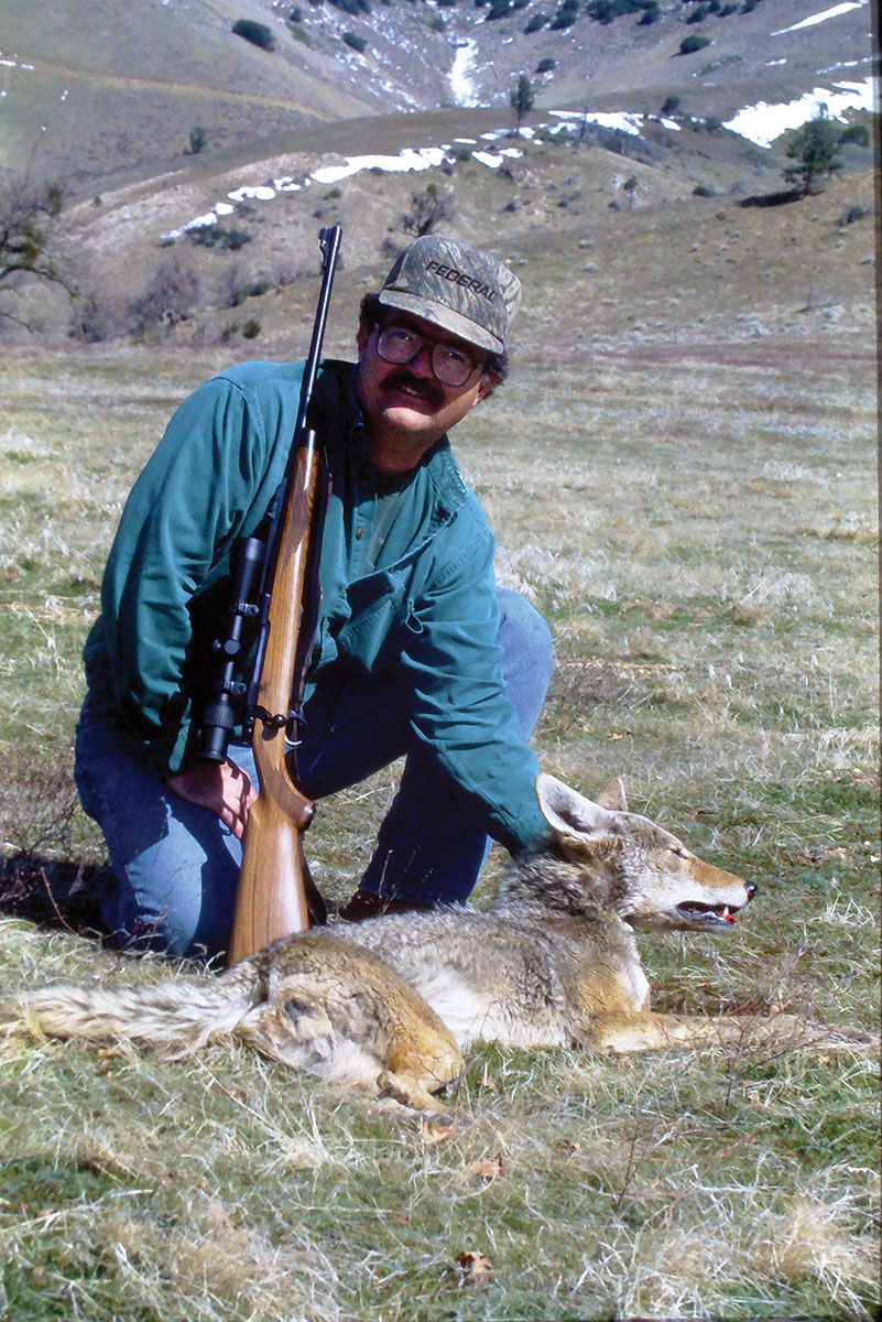 Jim Matthews shot this big California coyote with a .30-06 Ruger Model 77 while hunting pigs in late winter. He has used several .30-06 rifles over the decades for big game, but he has always shot far more varmints with the rifles to keep his field shooting skills honed.