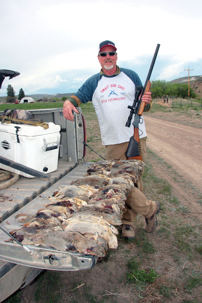 Patrick put a Martini rebarreled to 256 Winchester Magnum to work on eastern Oregon Belding’s ground squirrels. The combination proved pleasant to shoot, and accurate enough out to 175 yards.