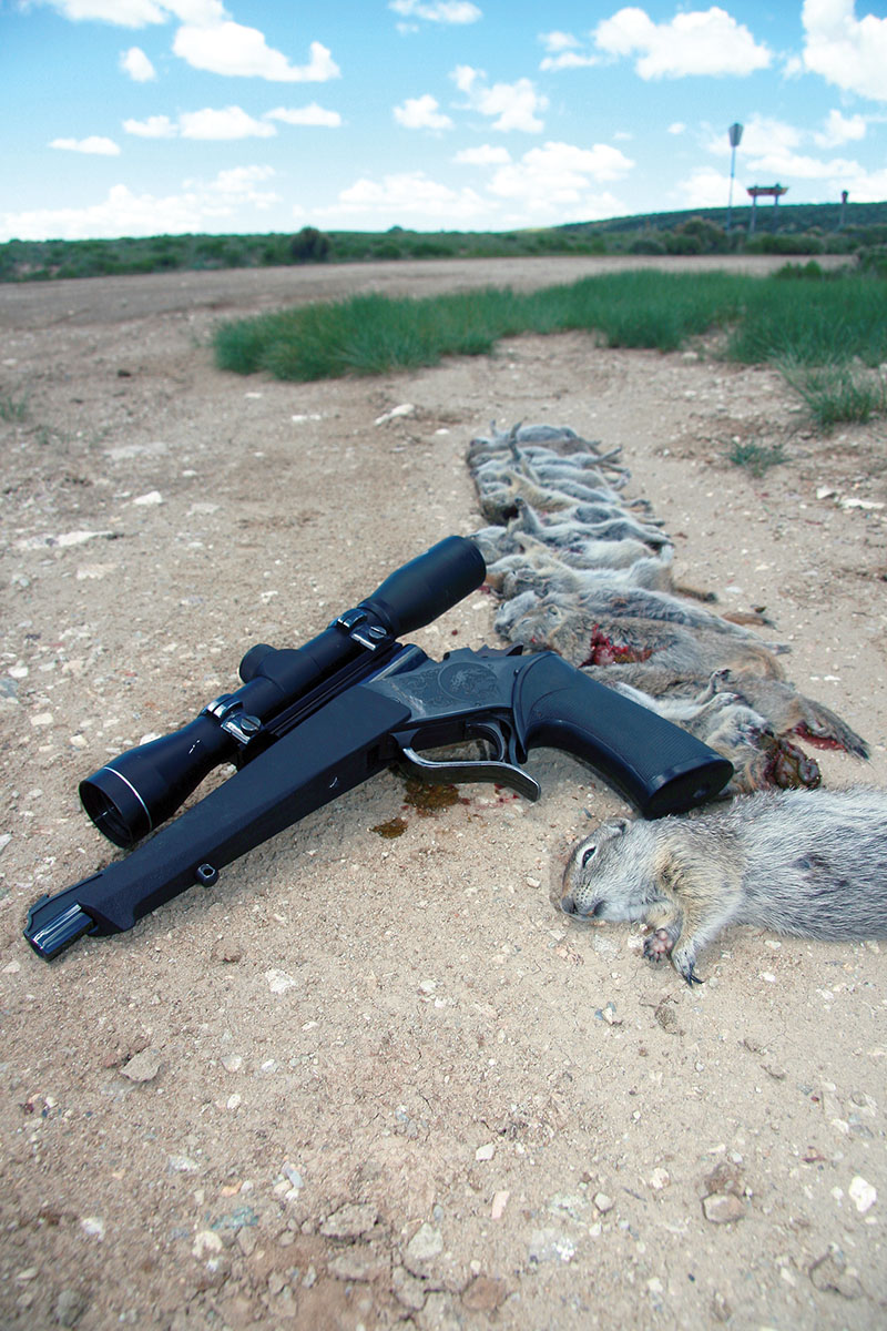 Western Wyoming Richardson’s ground squirrels are small targets, but a Contender pistol chambered in .221 Remington Fireball worked well to 130 yards.