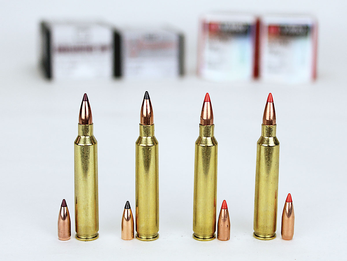 Handloads consisted of (1) Nosler 32-grain Ballistic Tip Varmint, (2) Nosler 32-grain FB Tipped Varmageddon, (3) Hornady 32-grain V-MAX and (4) Hornady 40-grain V-MAX bullets.