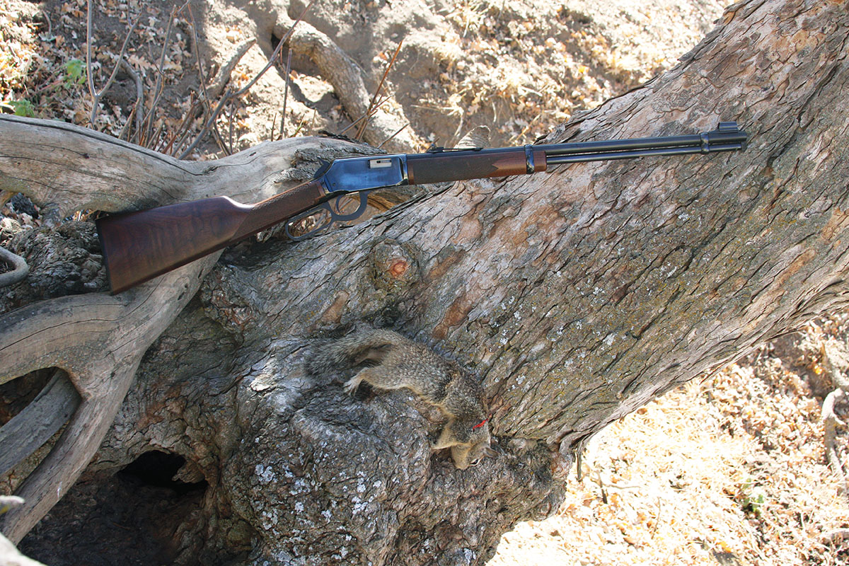 The ageless 22 LR cartridge was used on this ground squirrel crouched on a downed log at the Tejon Ranch.