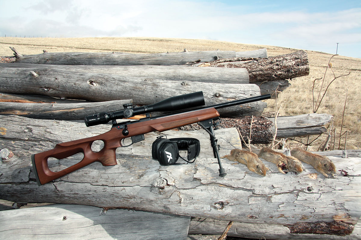 Well before accuracy testing off the bench, Patrick used the Anschütz 1761 rifle to shoot Belding’s ground squirrels on eastern Oregon private land. The rifle proved accurate from the very first shot.
