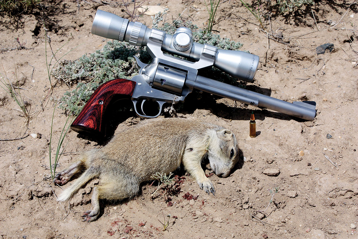 As this prairie dog at SPUR Outfitters learned, the Freedom Arms Model 97 in .224 FA is a serious varmint gun.