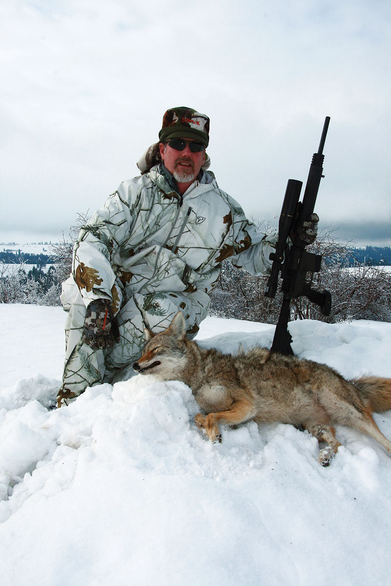 Even when fur prices are low, Patrick prefers to skin and tan prime winter coyotes. Speer’s 75-grain Gold Dot bullet will put tough mountain coyotes down on the spot, but without creating gaping exit wounds.