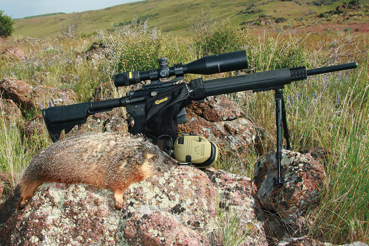 Patrick shot this ’chuck with Rocky Mountain Reloading’s 69-grain, 3-Gun Hunter bullet.