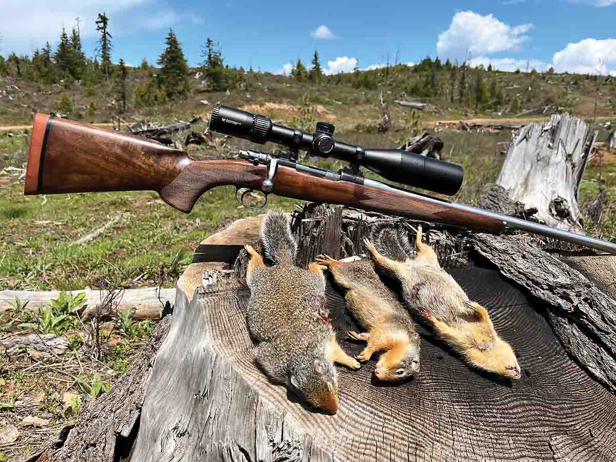 The 22-284 is a highly specialized cartridge best suited to slow-paced, long-range varmint shooting. The 1:7 twist of Patrick’s custom rifle allows shooting heavy-for-caliber bullets.