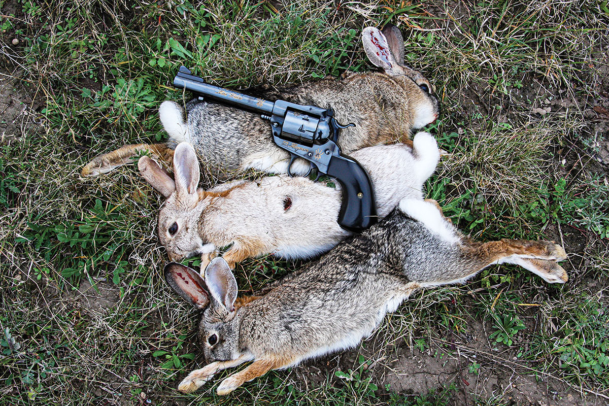 While in south Texas, a late afternoon stroll with the Ruger/Reeder .22 Magnum produced these three healthy cottontails.
