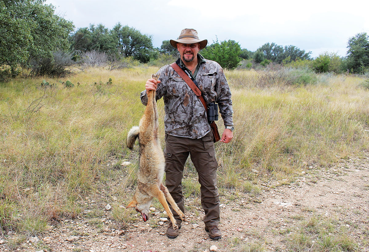 Phil shot this Texas coyote that paused just a half-second too long.