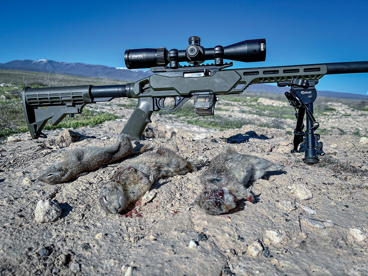 Patrick’s Adaptive Tactical Tac-Hammer-equipped Ruger 10/22 was recently changed up to include a Timber Creek Outdoors Enforcer Rifle Chassis for the Ruger 10/22. The chassis design requires adding the AR parts of your choice.