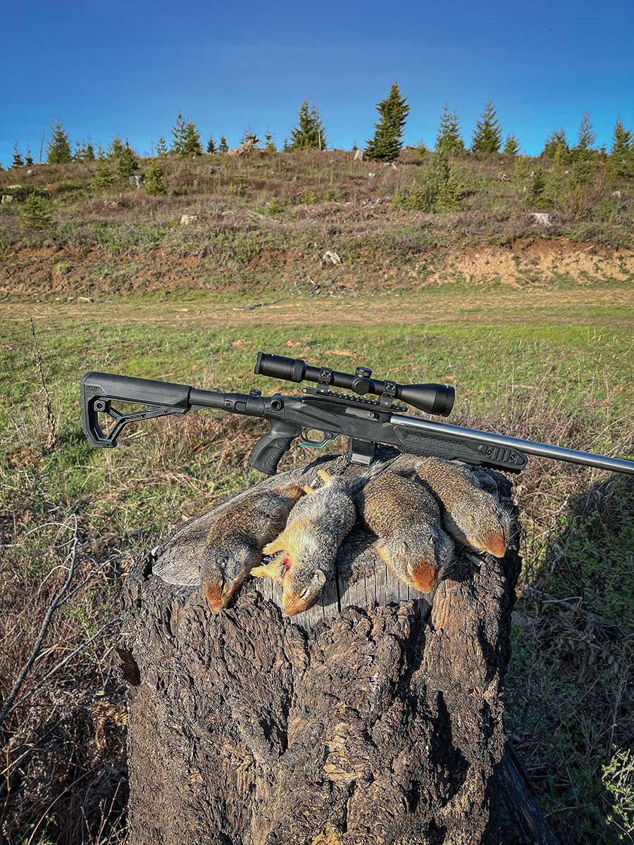 Patrick recently changed from a Hogue Thumbhole to a F.A.B. Defense UAS-R Chassis for Ruger 10/22 stock. The F.A.B. is adjustable for fit and includes a folding butt section for more compact transport.