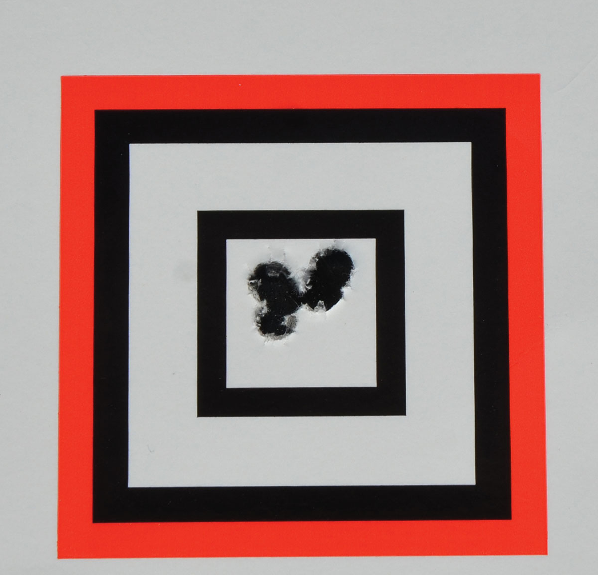 This five-shot group, fired at 100 yards with the Hornady 40-grain V-MAX pushed to 4,050 fps by RL-15, measured .346 inch.