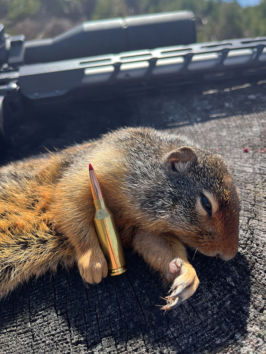 The 22 ARC cartridge is an ideal match for the Hornady 62-grain ELD-VT bullet, providing impressive velocities and dismantling terminal performance.