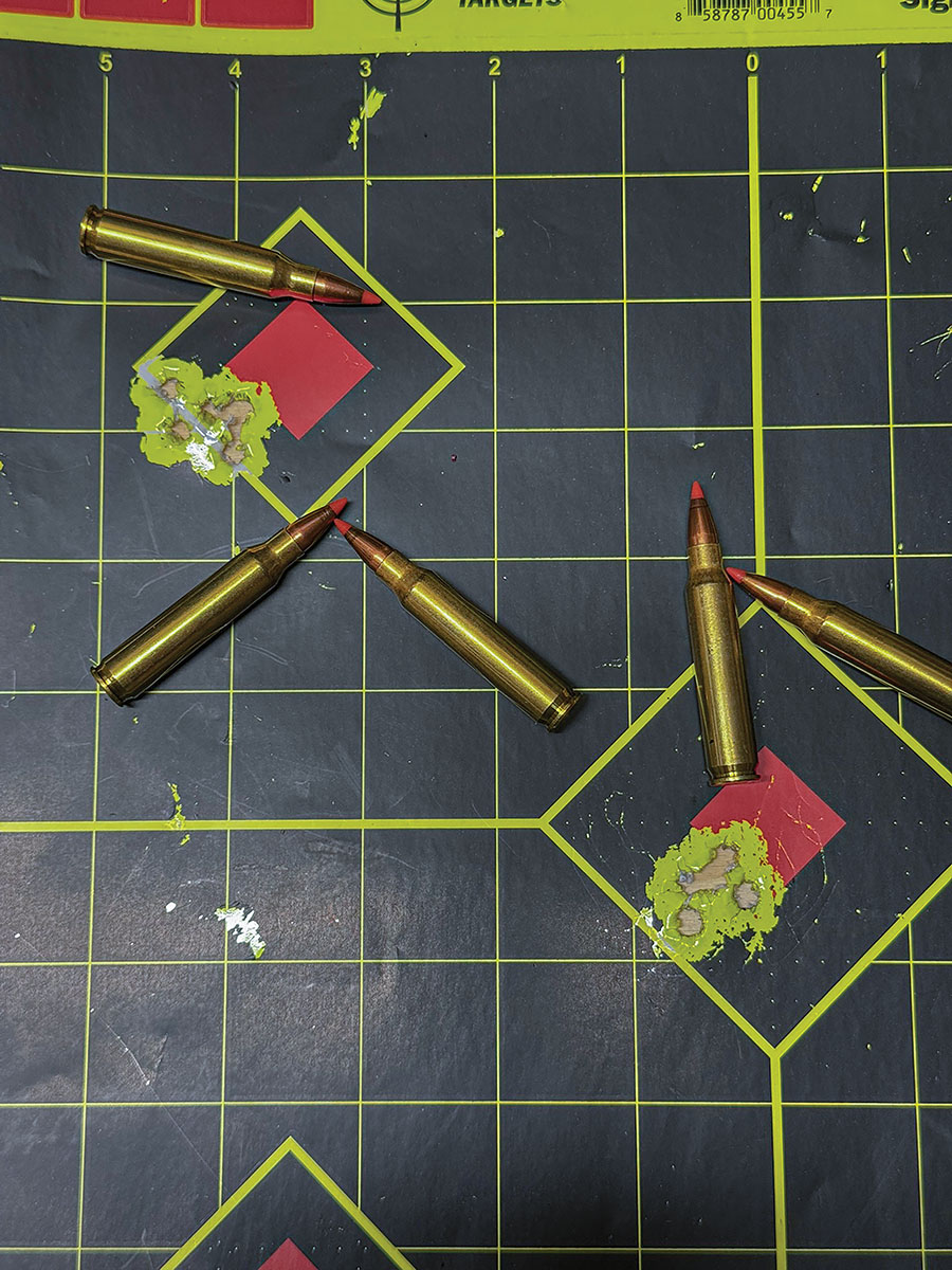 Consistent results with the 55-grain V-MAX from Hornady factory varmint express ammunition line.